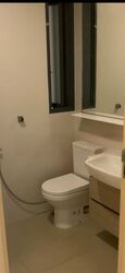 The Luxurie (D19), Condominium #433772241